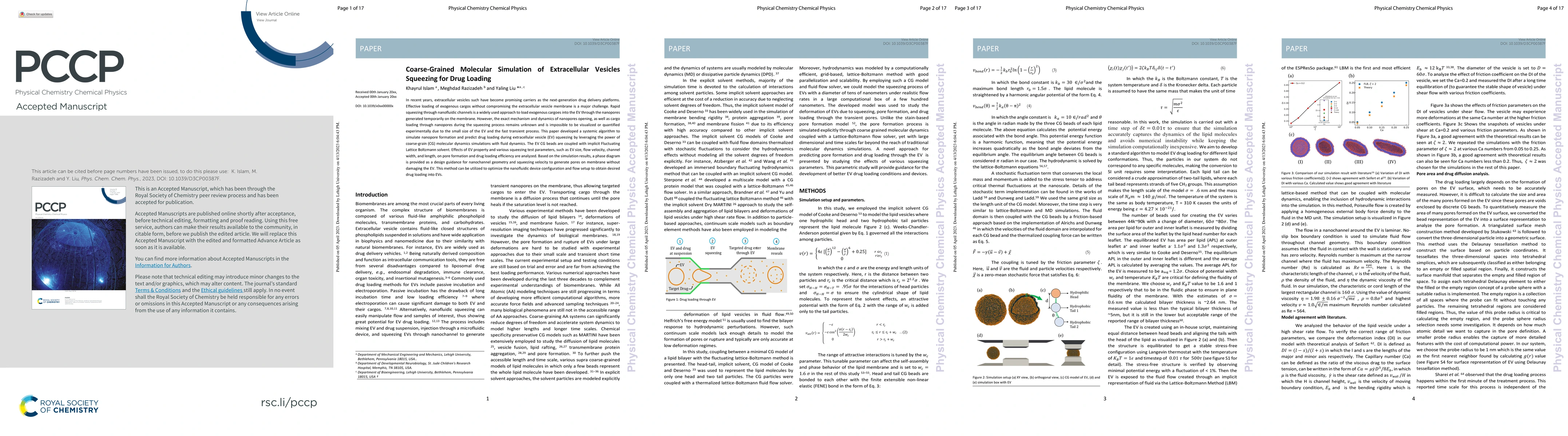 Thumbnail for Coarse-Grained Molecular Simulation of Extracellular Vesicles Squeezing
  for Drug Loading