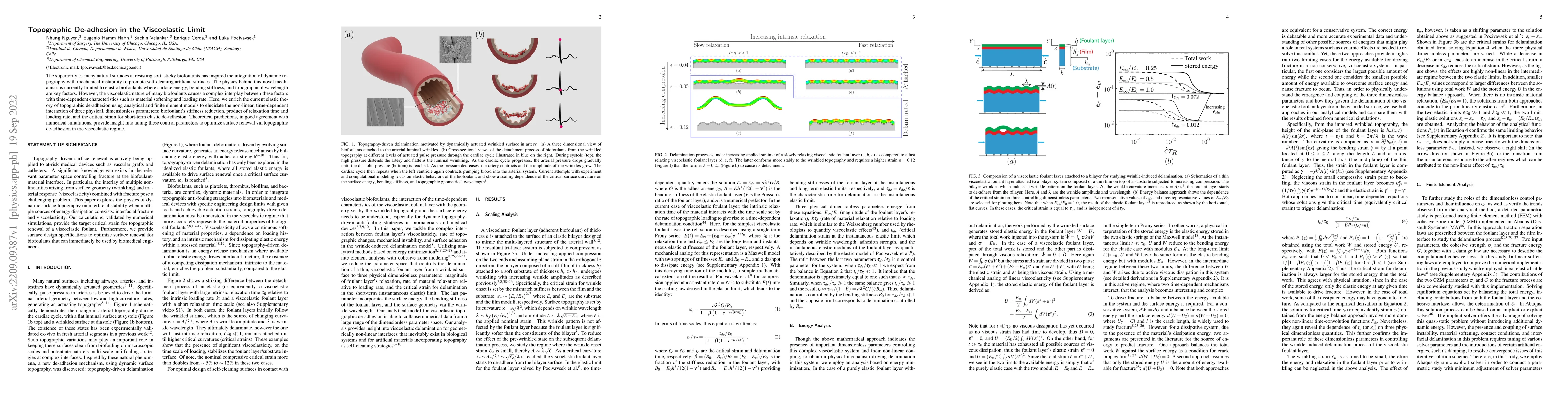 Thumbnail for Topographic De-adhesion in the Viscoelastic Limit