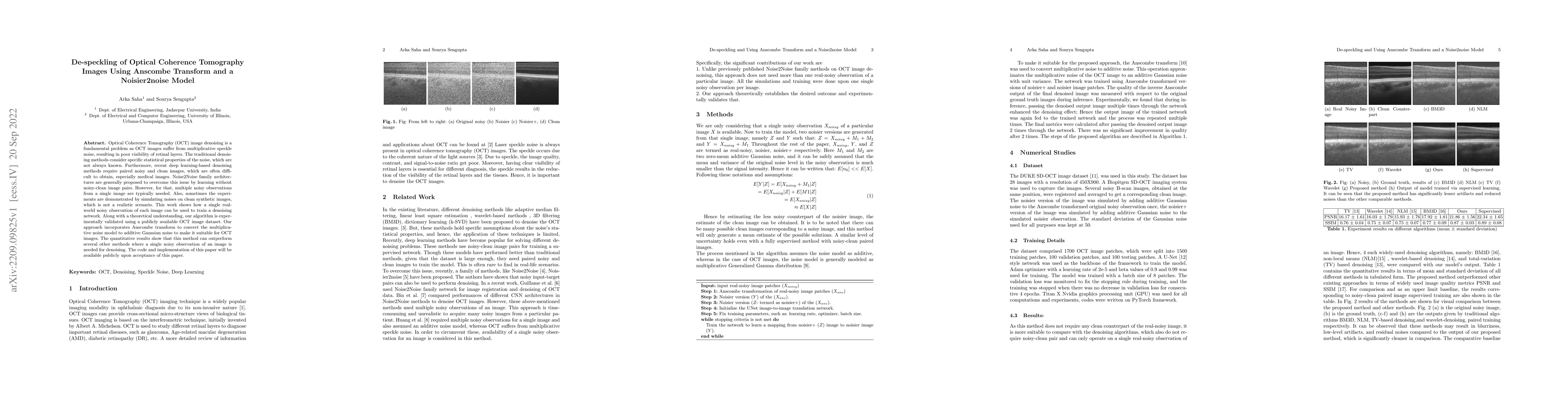 Thumbnail for De-speckling of Optical Coherence Tomography Images Using Anscombe
  Transform and a Noisier2noise Model