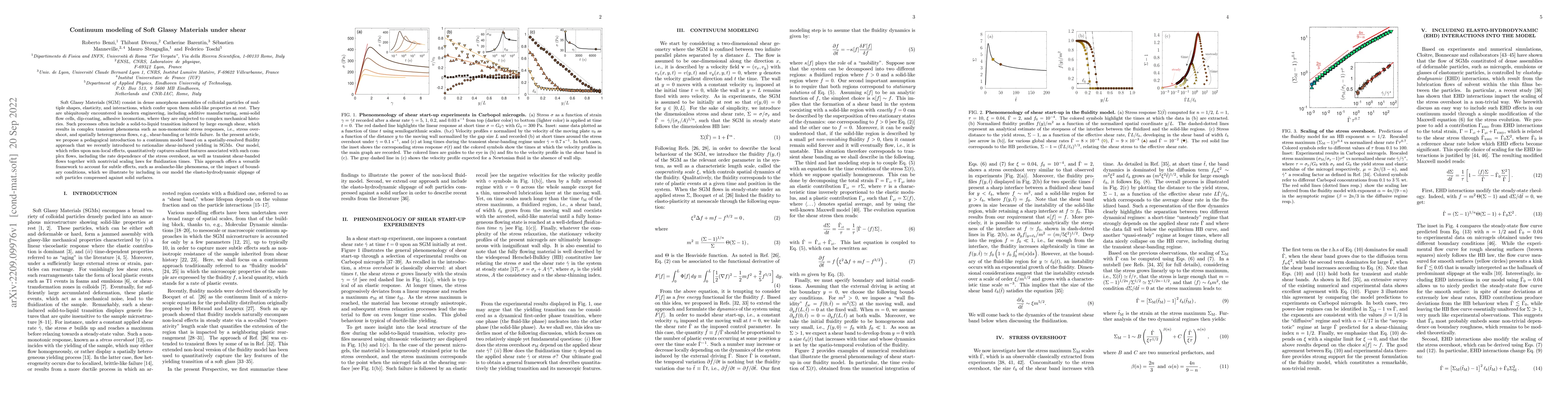 Thumbnail for Continuum modeling of Soft Glassy Materials under shear