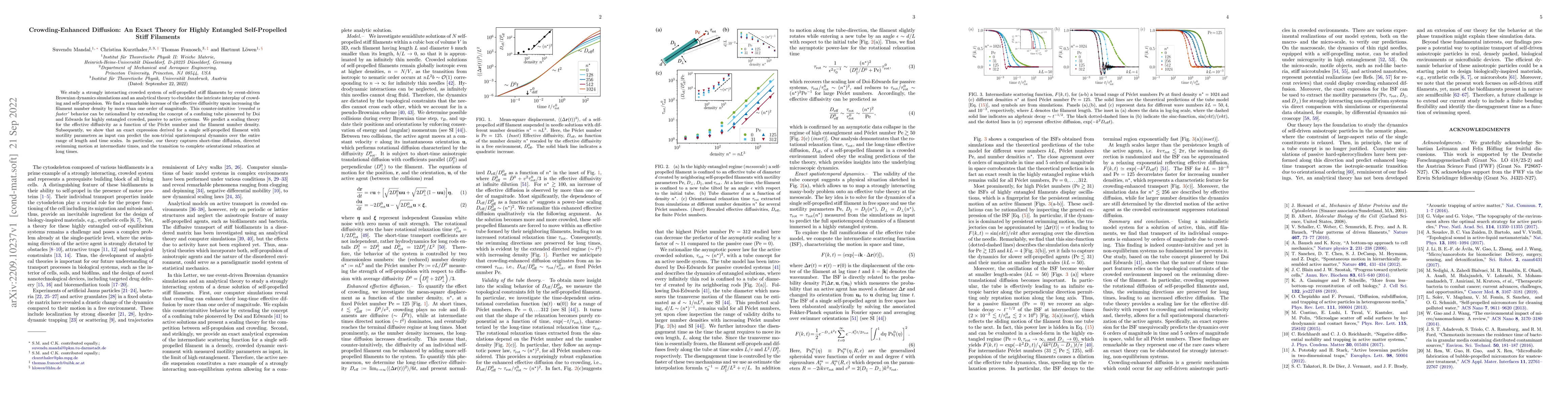 Thumbnail for Crowding-Enhanced Diffusion: An Exact Theory for Highly Entangled
  Self-Propelled Stiff Filaments
