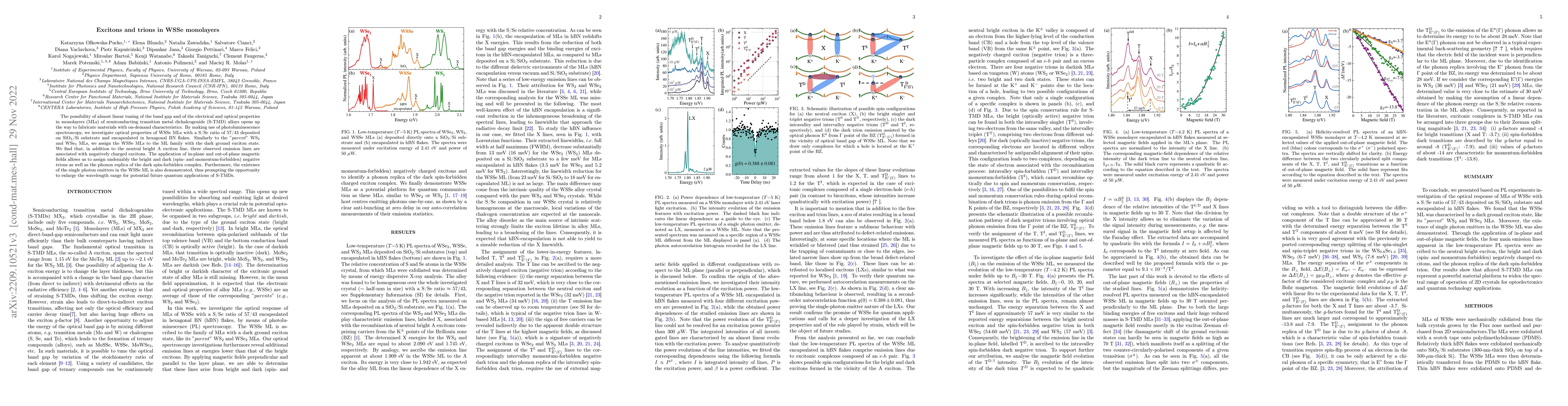 Thumbnail for Excitons and trions in WSSe monolayers