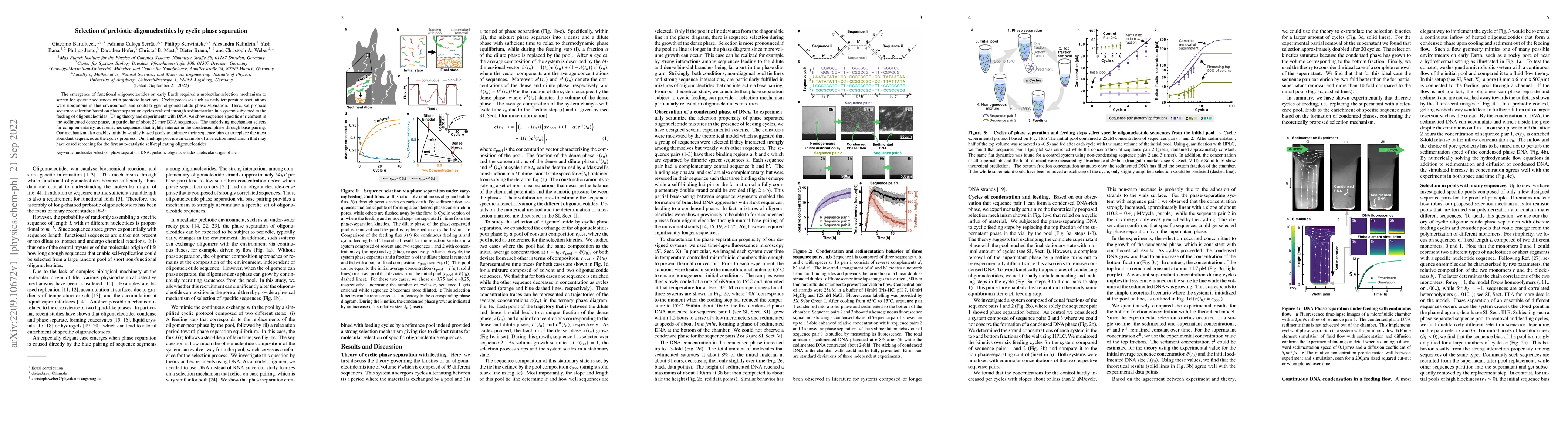 Thumbnail for Selection of prebiotic oligonucleotides by cyclic phase separation