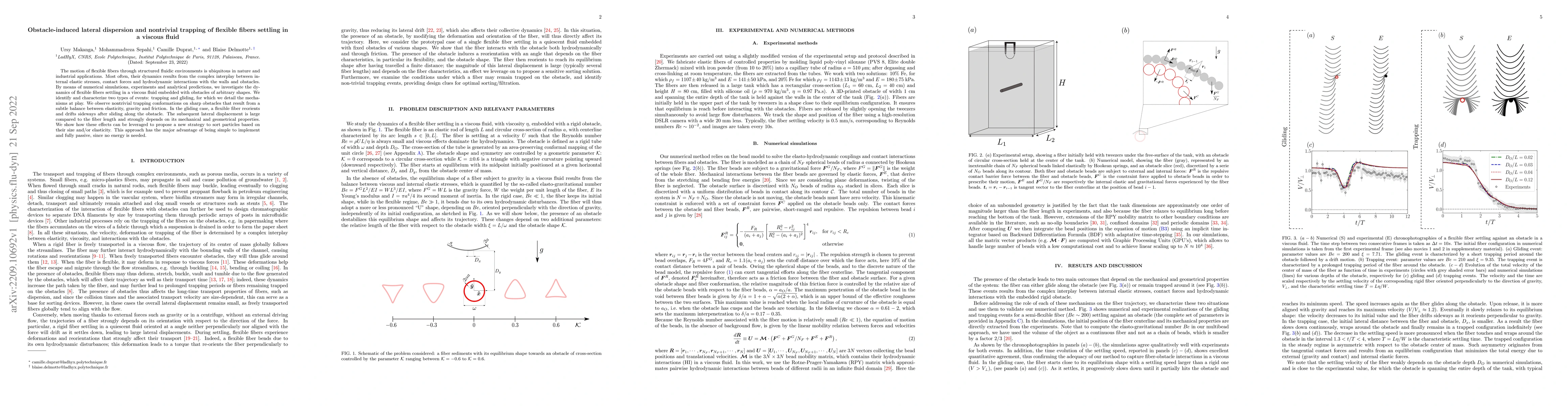Thumbnail for Obstacle-induced lateral dispersion and nontrivial trapping of flexible
  fibers settling in a viscous fluid