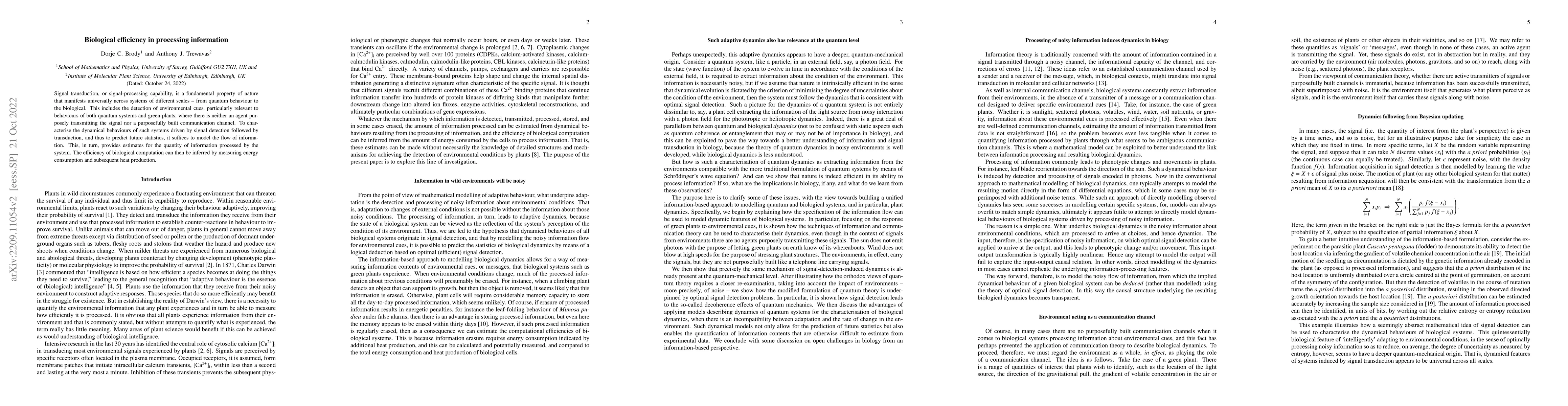 Thumbnail for Biological efficiency in processing information