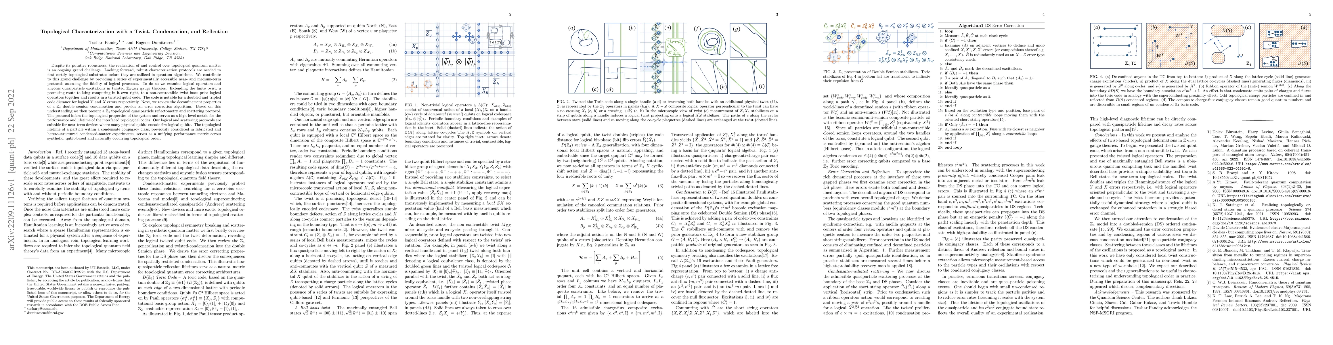 Thumbnail for Topological Characterization with a Twist, Condensation, and Reflection