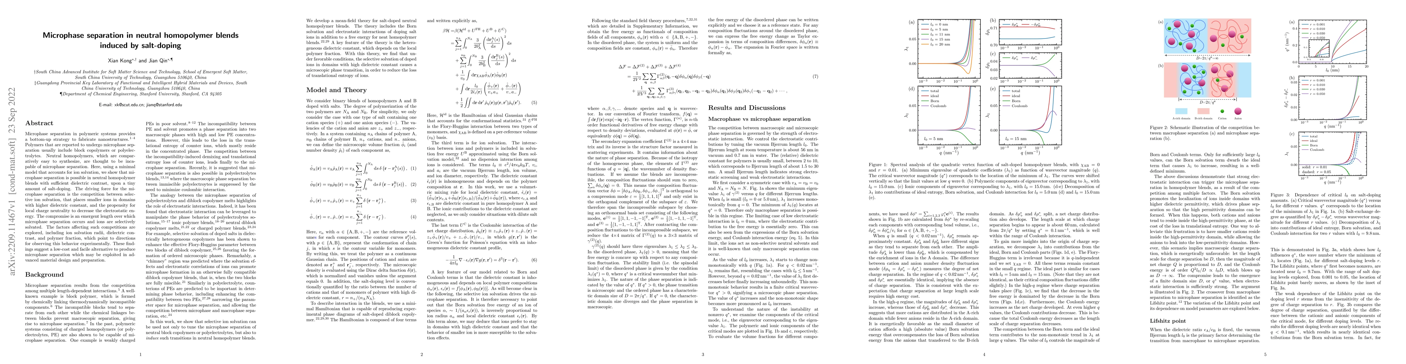 Thumbnail for Microphase separation in neutral homopolymer blends induced by
  salt-doping
