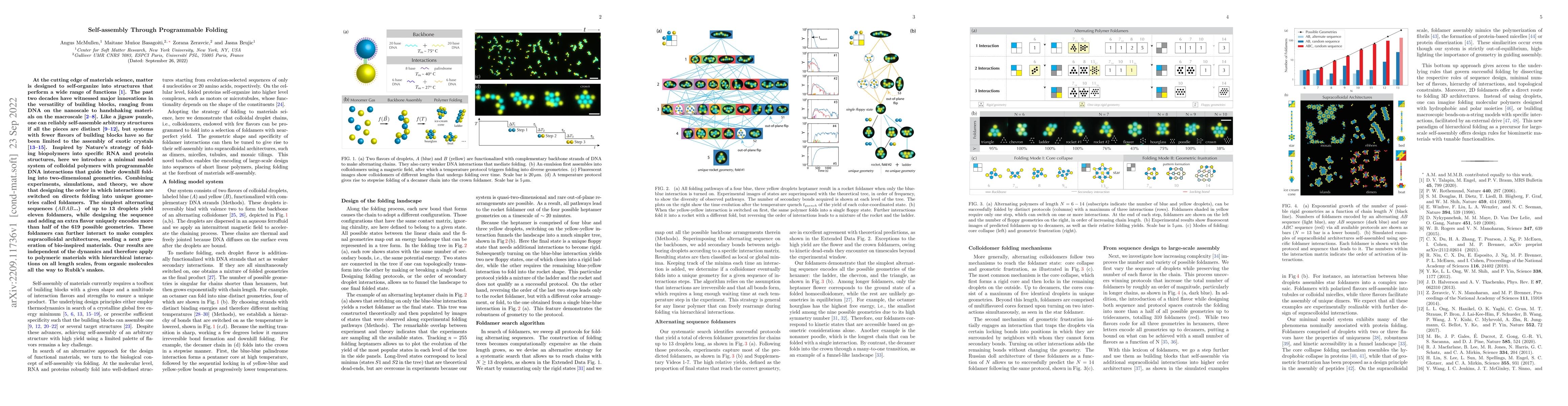 Thumbnail for Self-assembly Through Programmable Folding