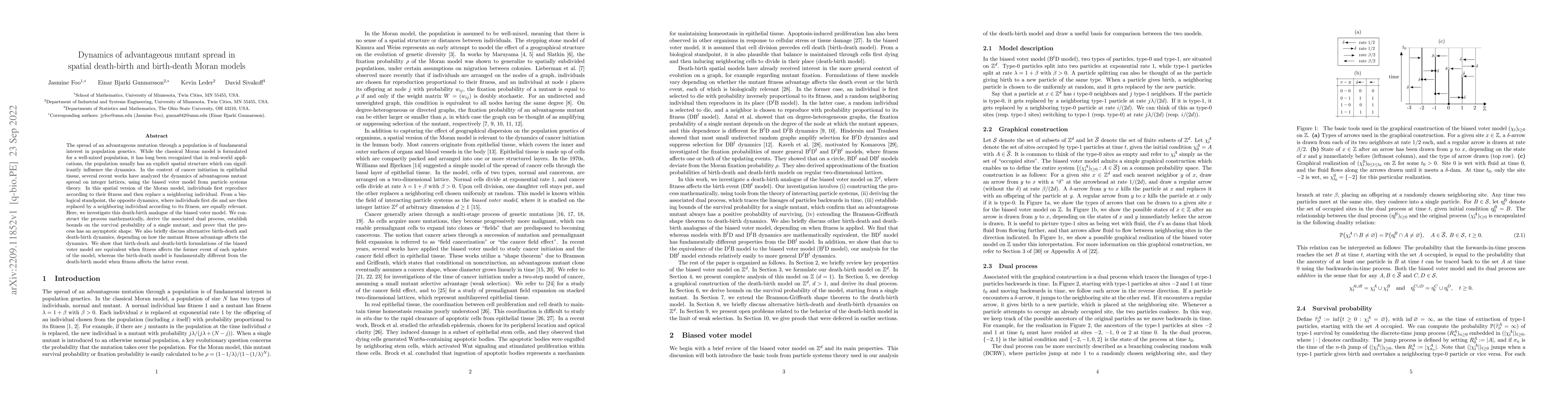 Thumbnail for Dynamics of advantageous mutant spread in spatial death-birth and
  birth-death Moran models