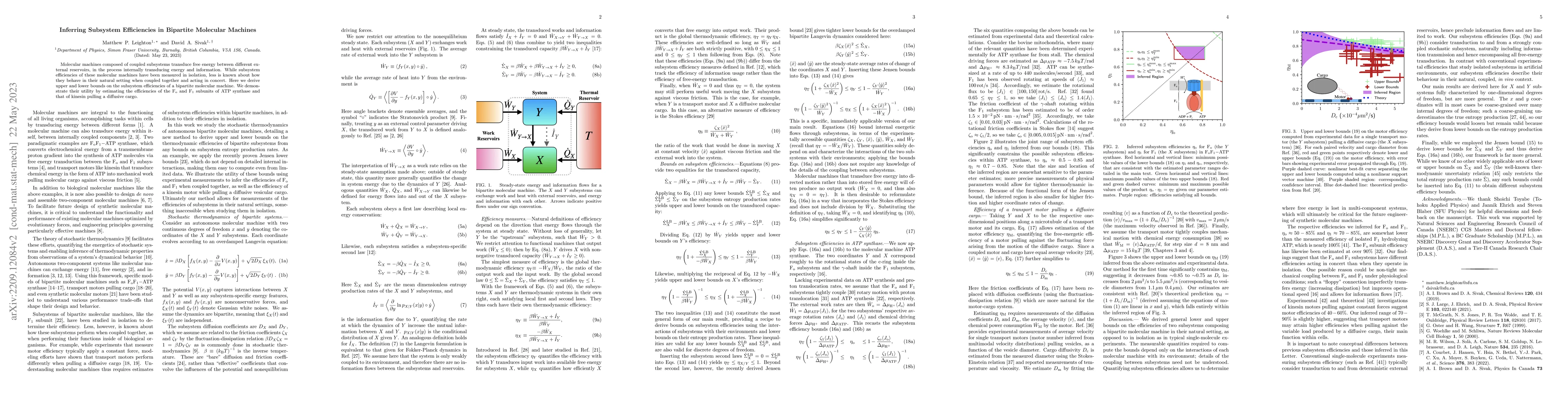 Thumbnail for Inferring Subsystem Efficiencies in Bipartite Molecular Machines