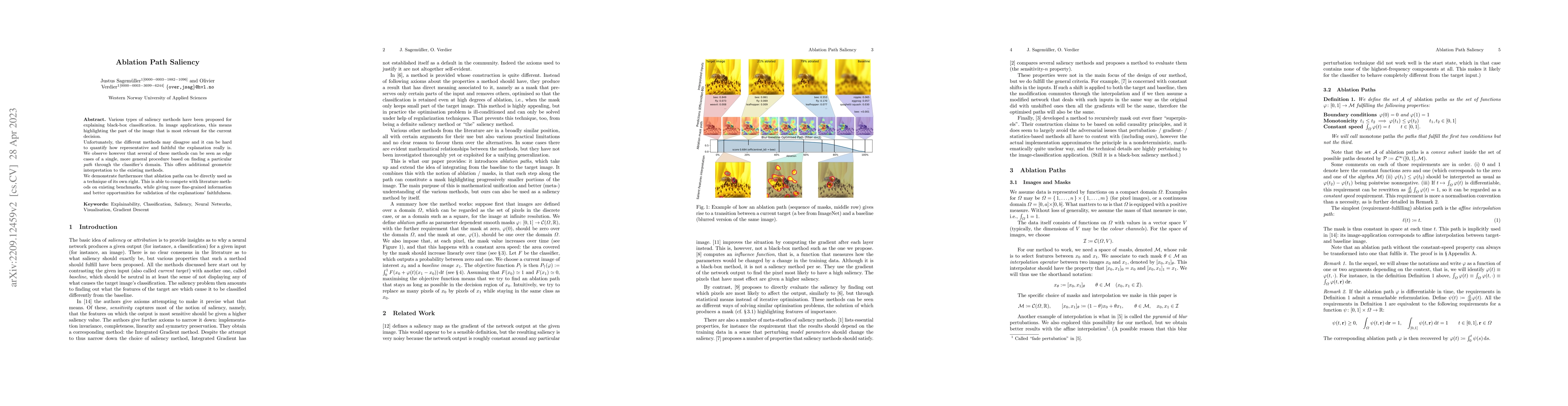 Thumbnail for Ablation Path Saliency