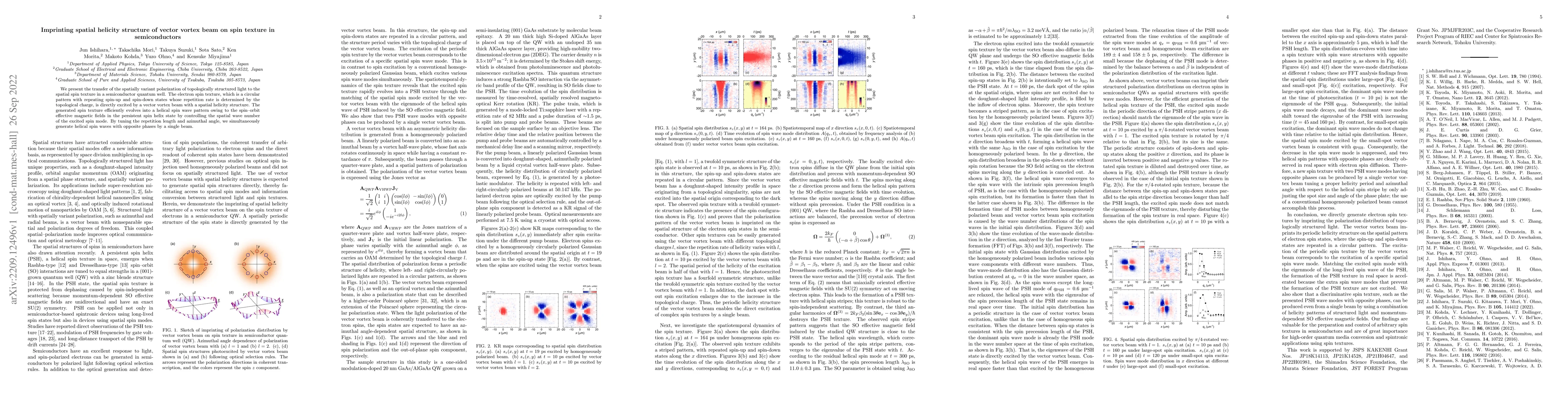 Thumbnail for Imprinting spatial helicity structure of vector vortex beam on spin
  texture in semiconductors