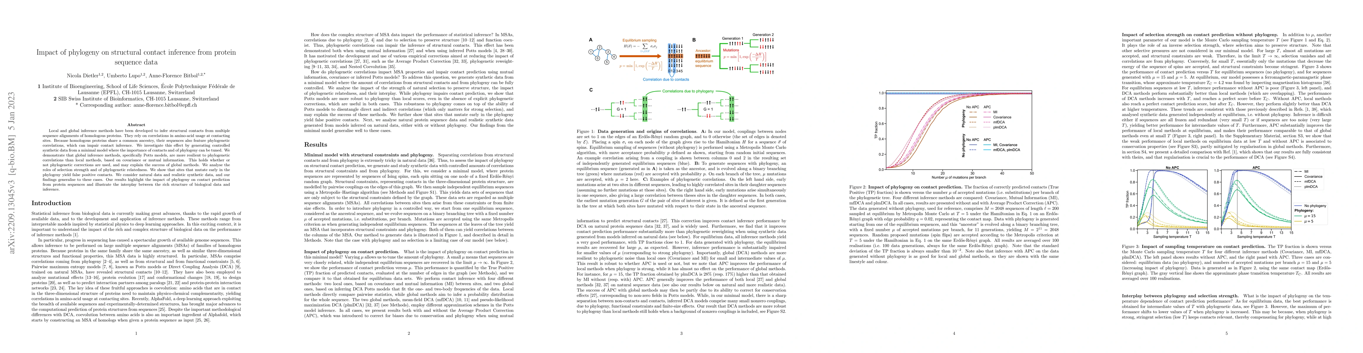 Thumbnail for Impact of phylogeny on structural contact inference from protein
  sequence data