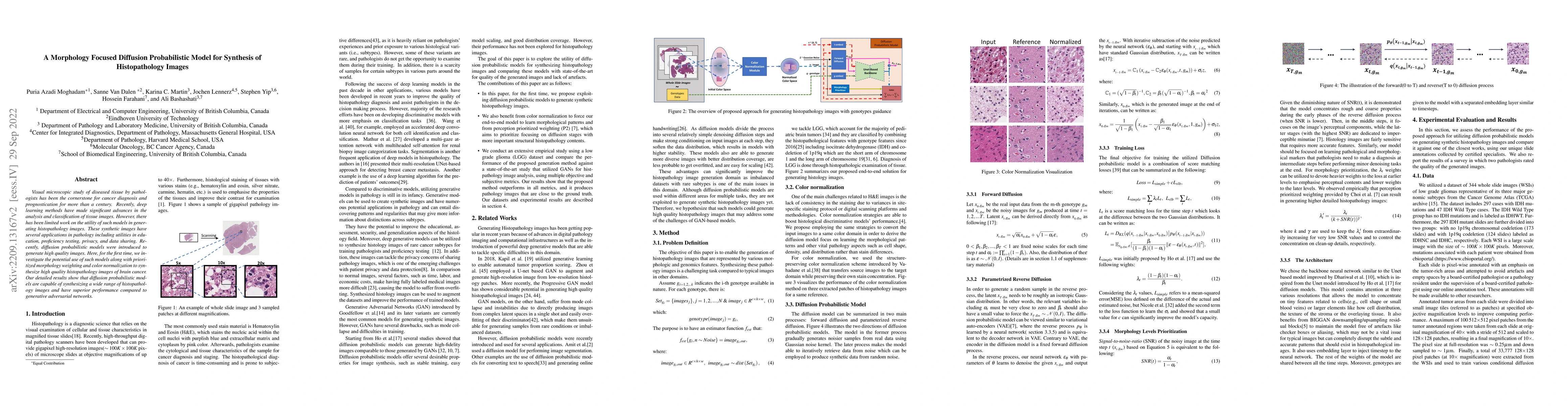 Thumbnail for A Morphology Focused Diffusion Probabilistic Model for Synthesis of
  Histopathology Images