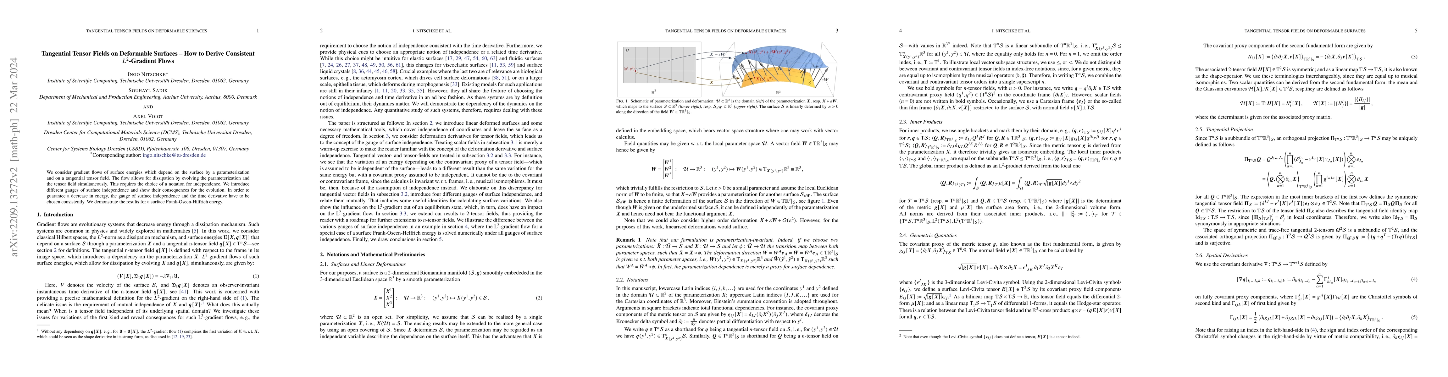 Thumbnail for Tangential Tensor Fields on Deformable Surfaces -- How to Derive
  Consistent $L^2$-Gradient Flows