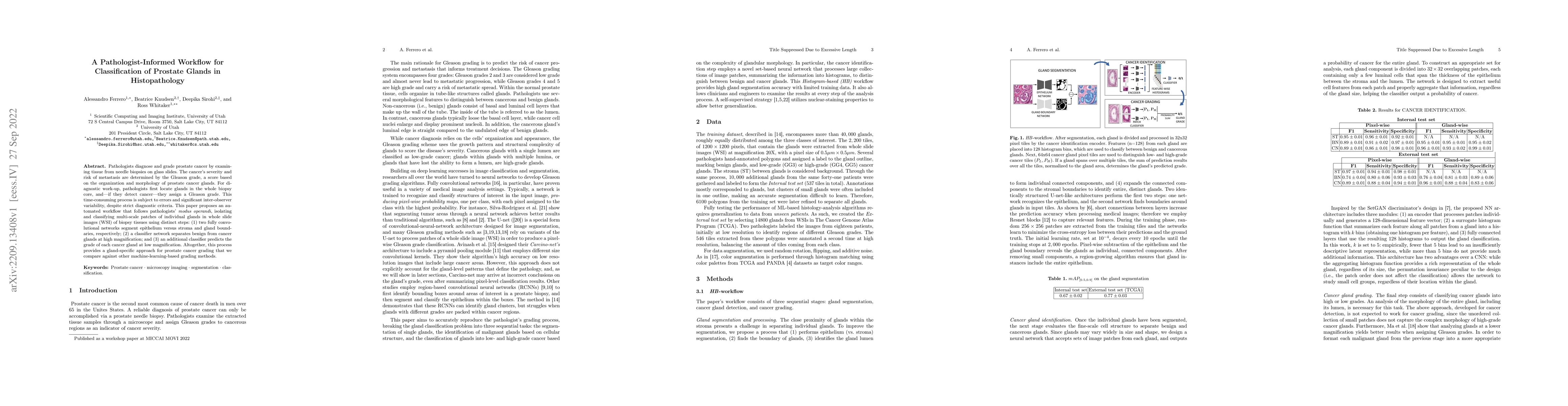 Thumbnail for A Pathologist-Informed Workflow for Classification of Prostate Glands in
  Histopathology