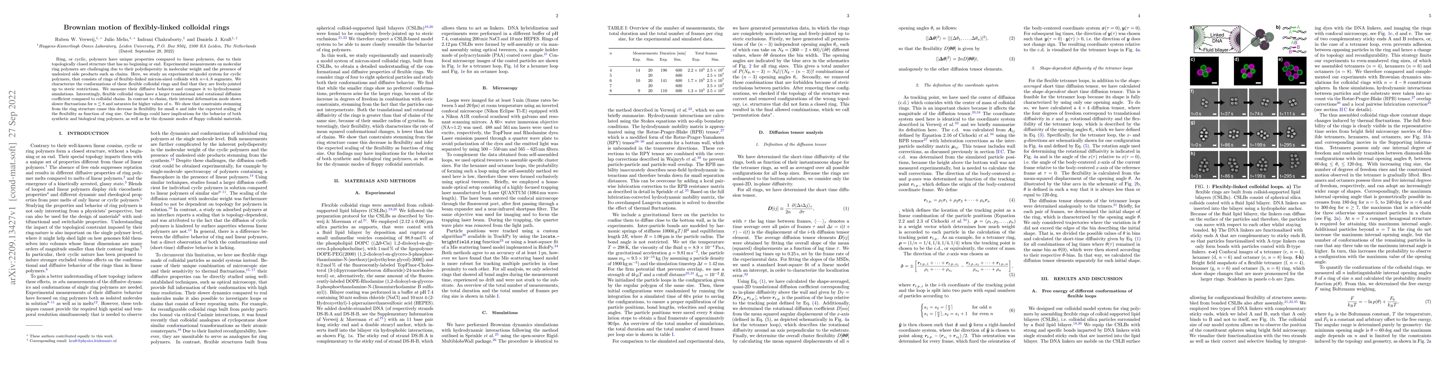 Thumbnail for Brownian motion of flexibly-linked colloidal rings