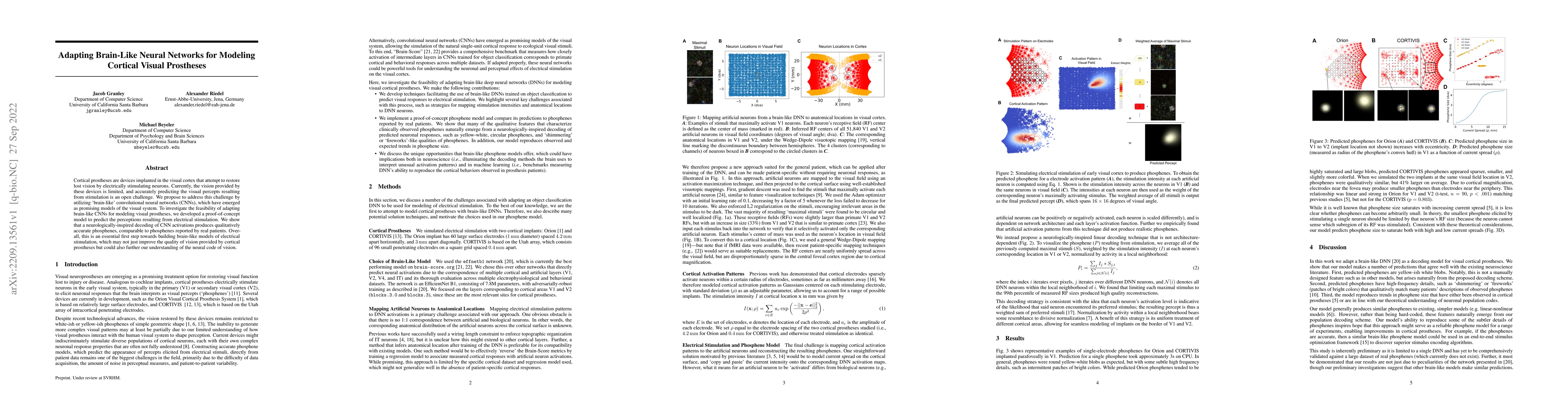 Thumbnail for Adapting Brain-Like Neural Networks for Modeling Cortical Visual
  Prostheses