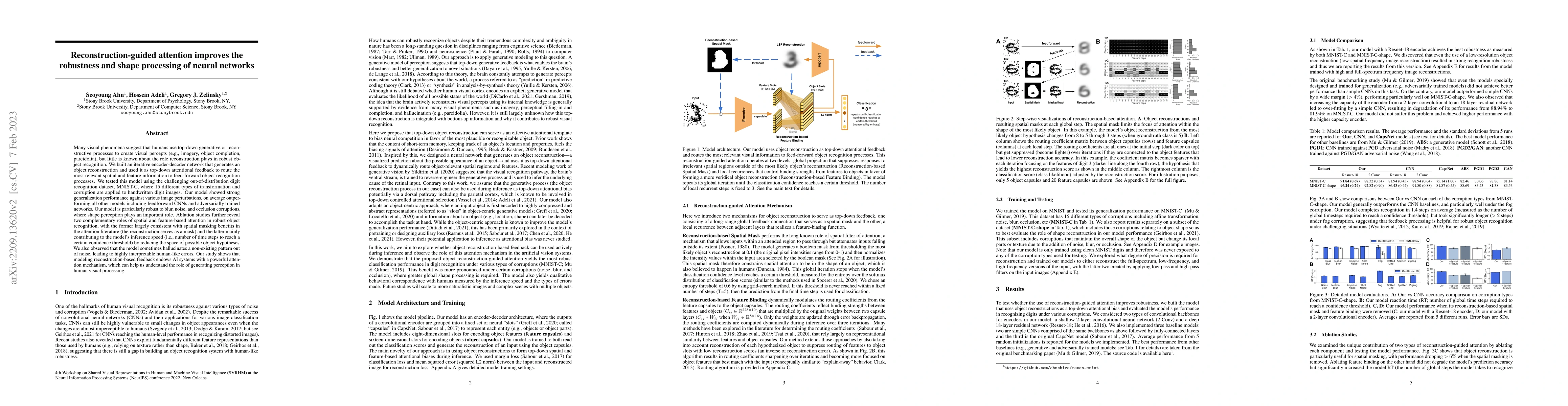 Thumbnail for Reconstruction-guided attention improves the robustness and shape
  processing of neural networks