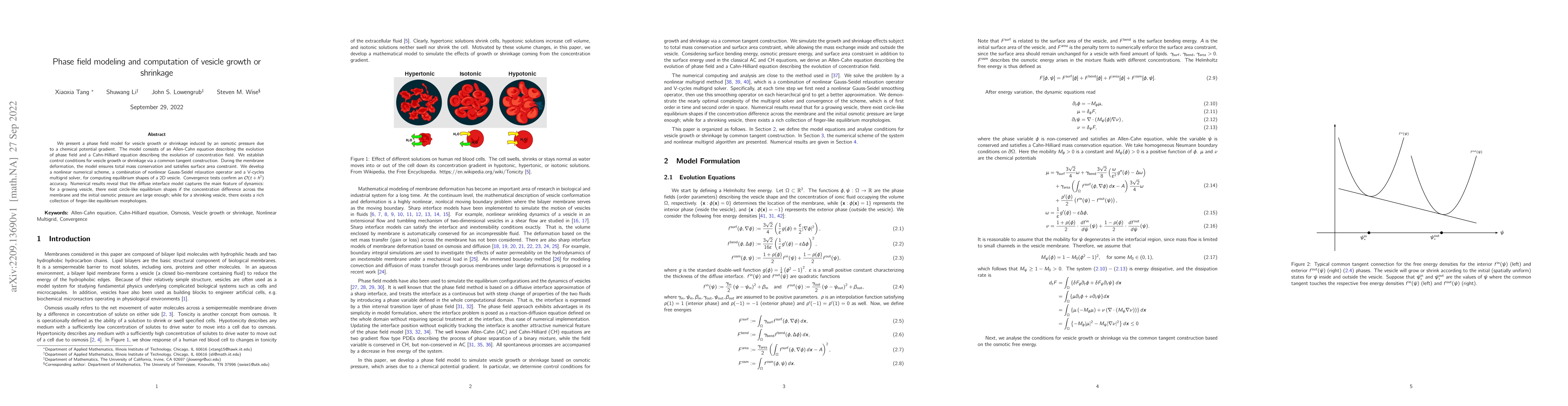 Thumbnail for Phase field modeling and computation of vesicle growth or shrinkage
