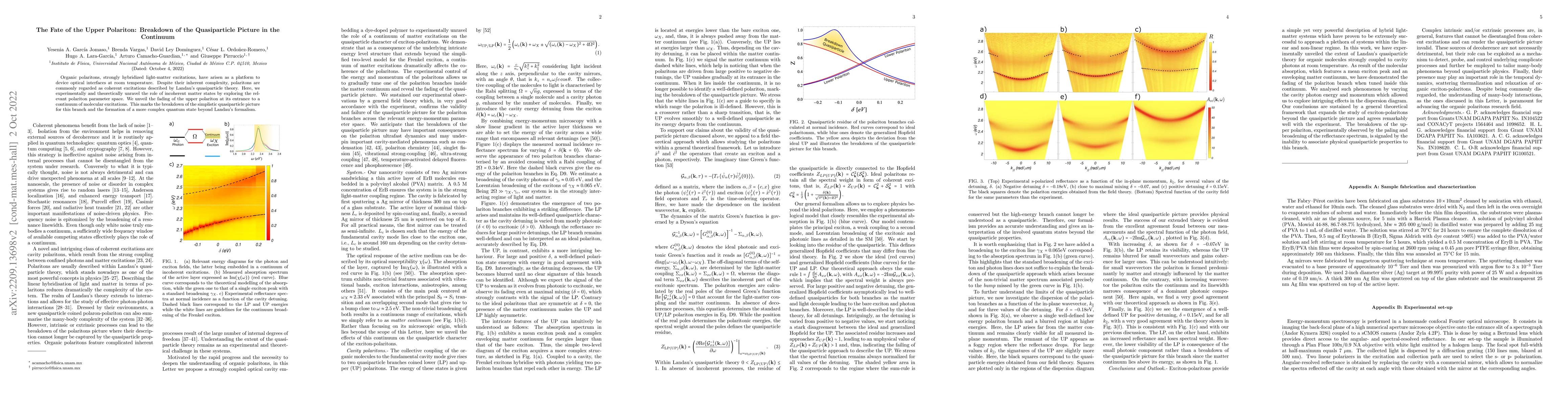 Thumbnail for The Fate of the Upper Polariton: Breakdown of the Quasiparticle Picture
  in the Continuum