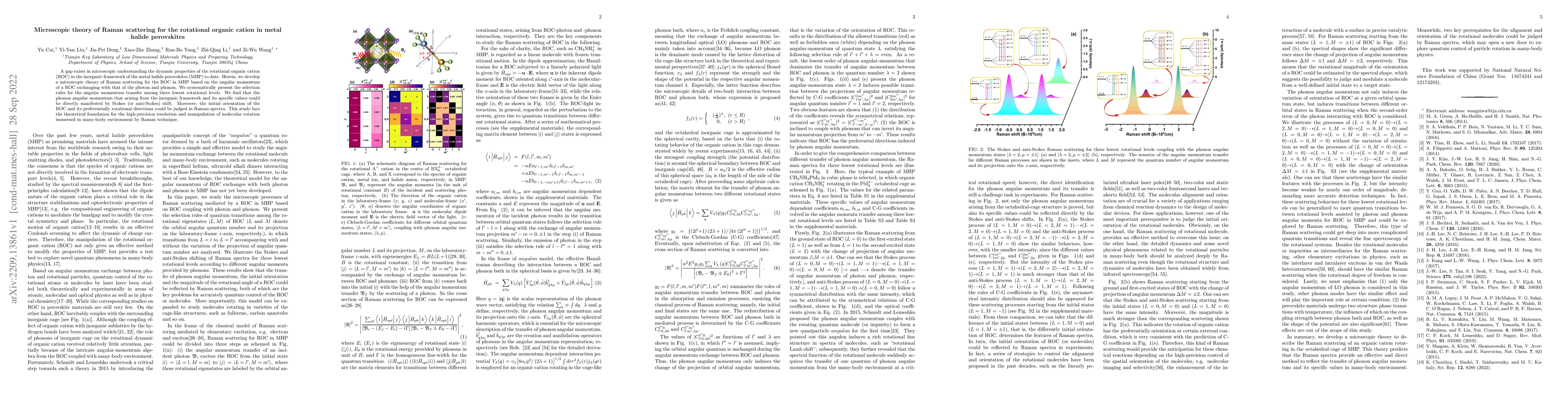 Thumbnail for Microscopic theory of Raman scattering for the rotational organic cation
  in metal halide perovskites