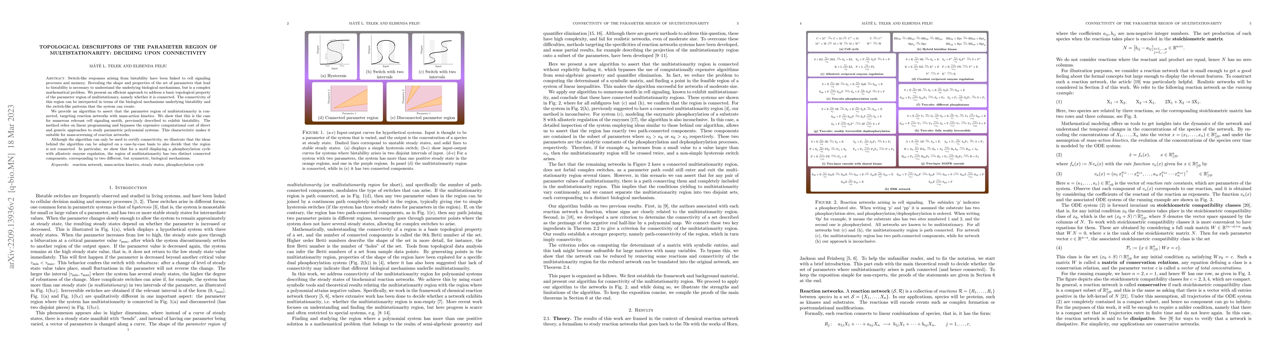 Thumbnail for Topological descriptors of the parameter region of multistationarity:
  deciding upon connectivity