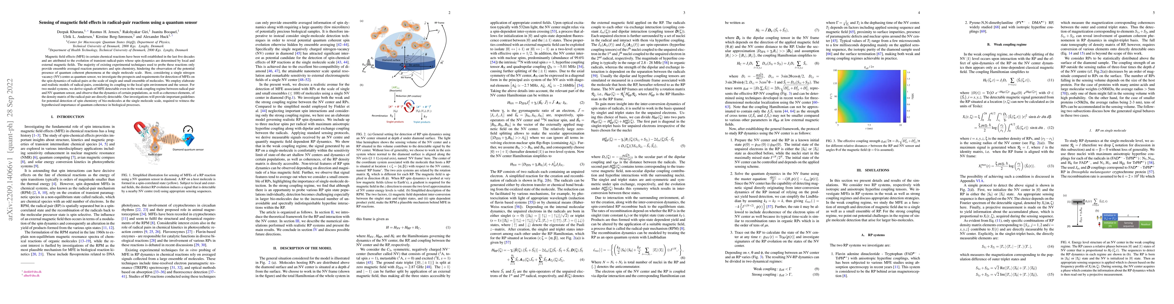Thumbnail for Sensing of magnetic field effects in radical-pair reactions using a
  quantum sensor