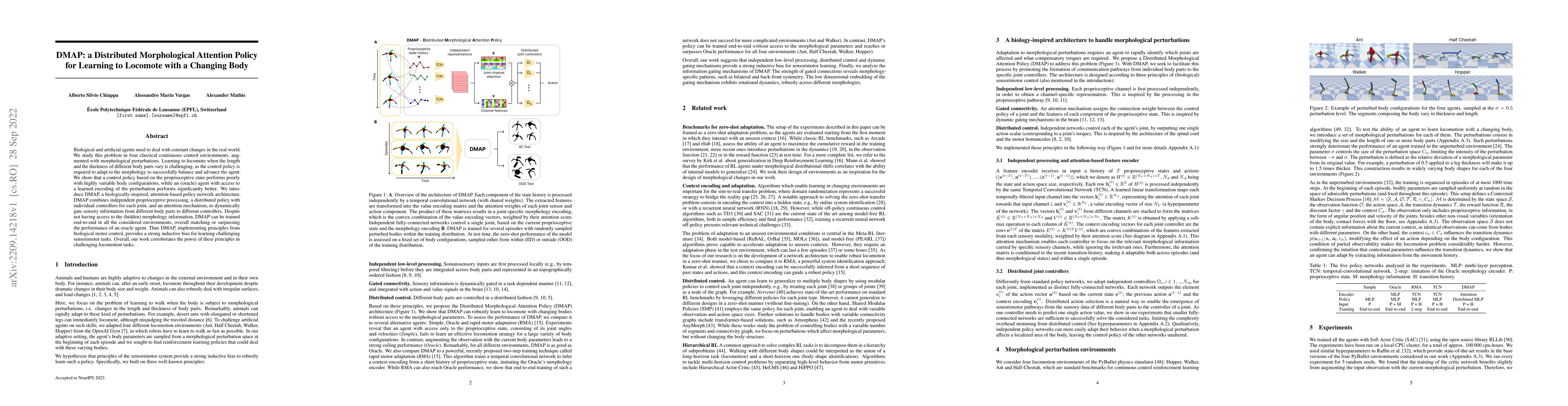 Thumbnail for DMAP: a Distributed Morphological Attention Policy for Learning to
  Locomote with a Changing Body