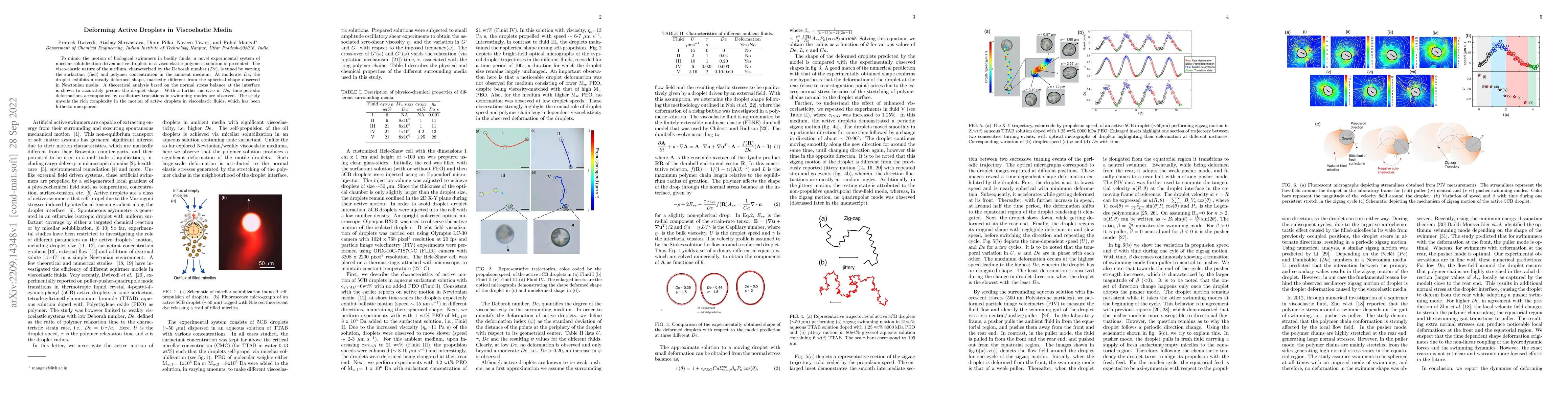 Thumbnail for Deforming Active Droplets in Viscoelastic Media