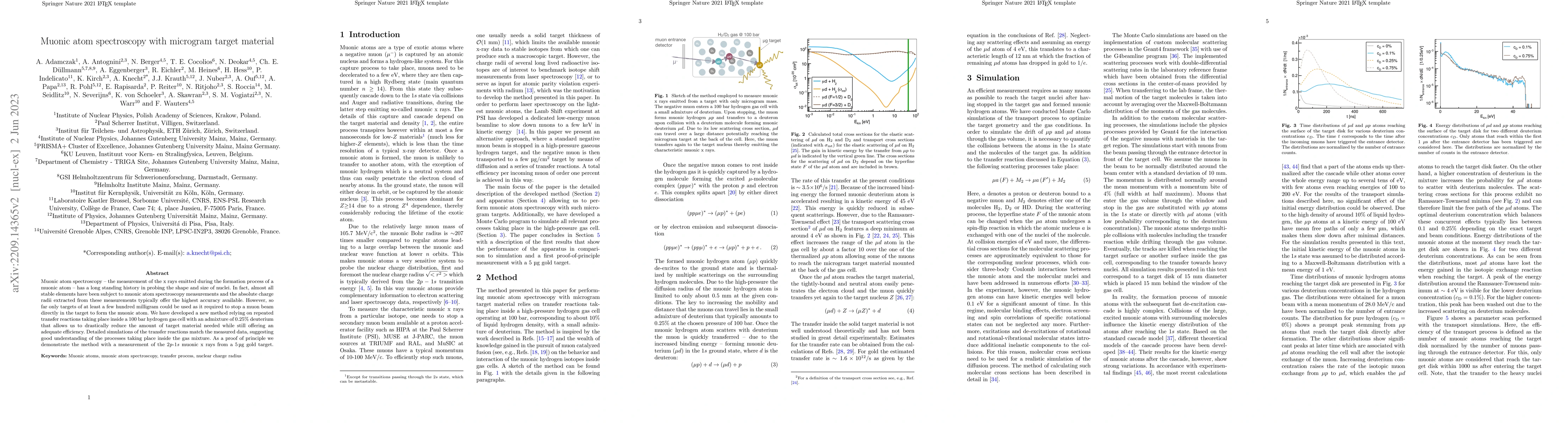 Thumbnail for Muonic atom spectroscopy with microgram target material