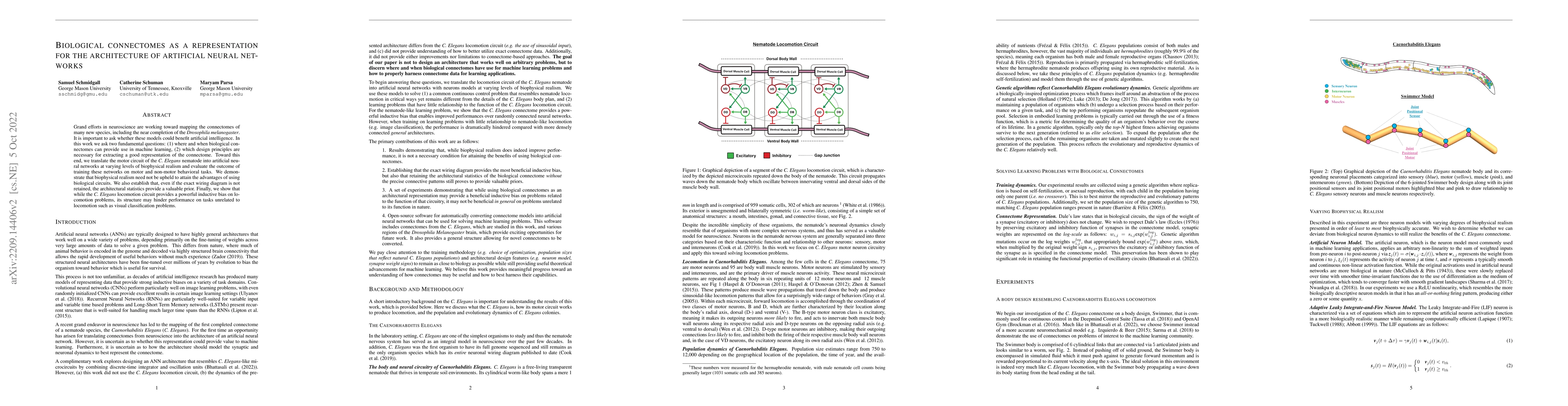 Thumbnail for Biological connectomes as a representation for the architecture of
  artificial neural networks