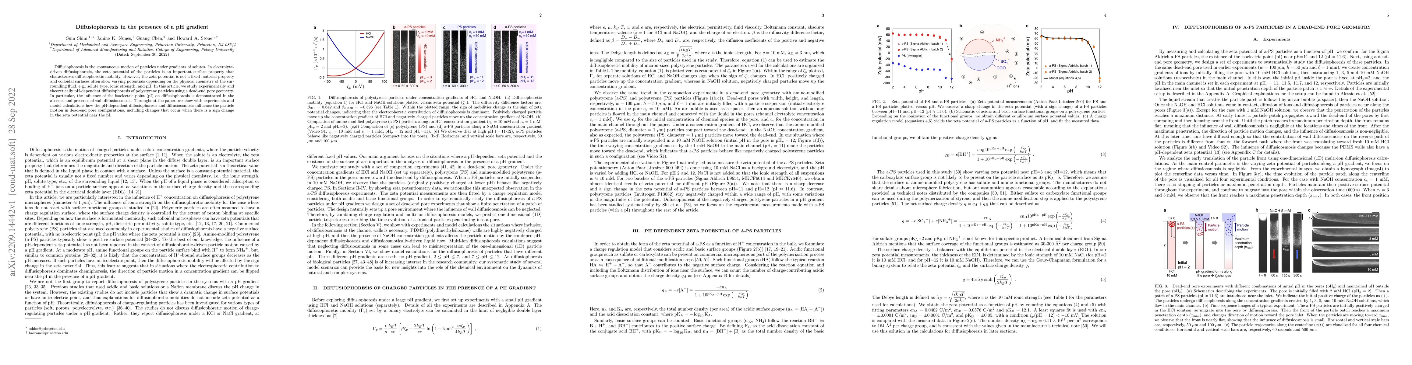 Thumbnail for Diffusiophoresis in the presence of a pH gradient