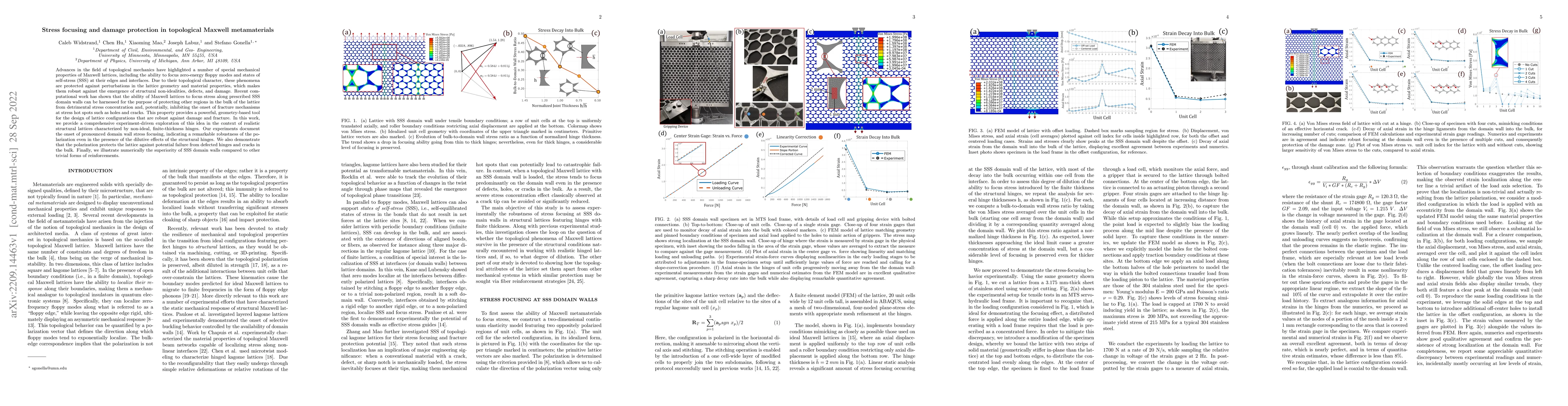 Thumbnail for Stress focusing and damage protection in topological Maxwell
  metamaterials