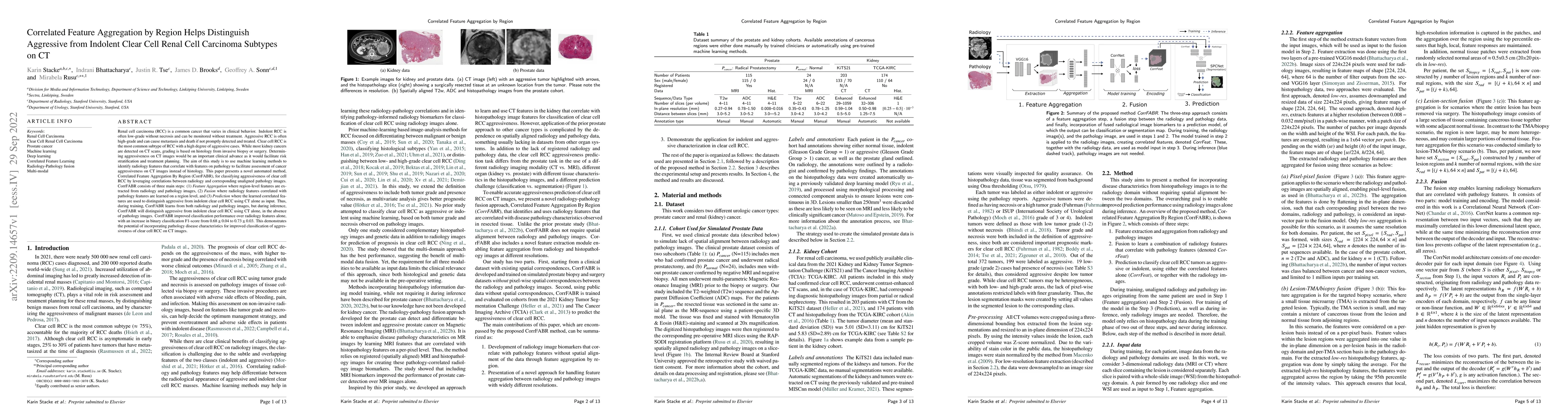 Thumbnail for Correlated Feature Aggregation by Region Helps Distinguish Aggressive
  from Indolent Clear Cell Renal Cell Carcinoma Subtypes on CT