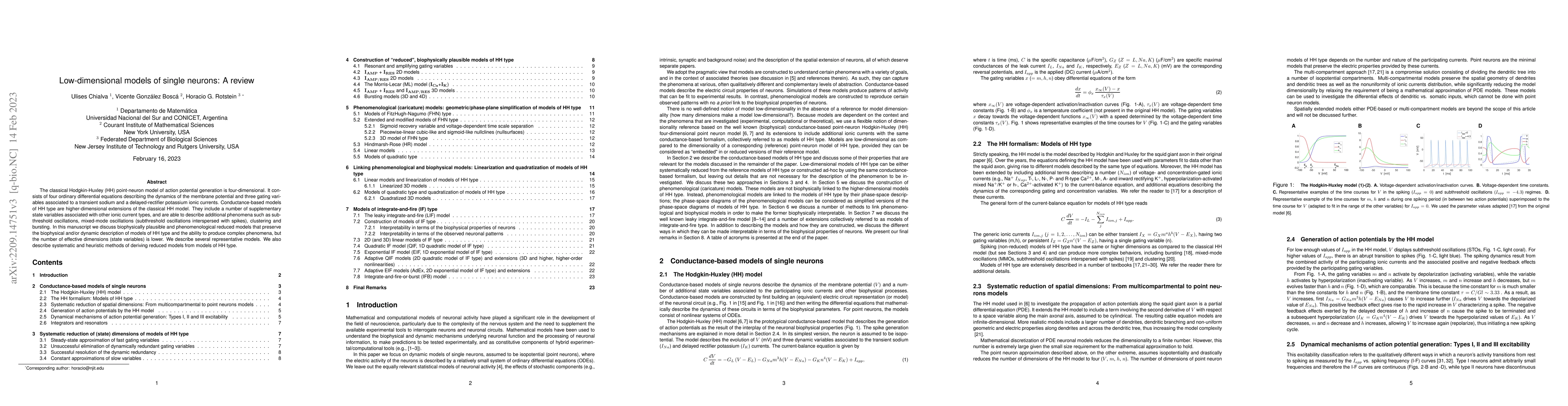 Thumbnail for Low-dimensional models of single neurons: A review