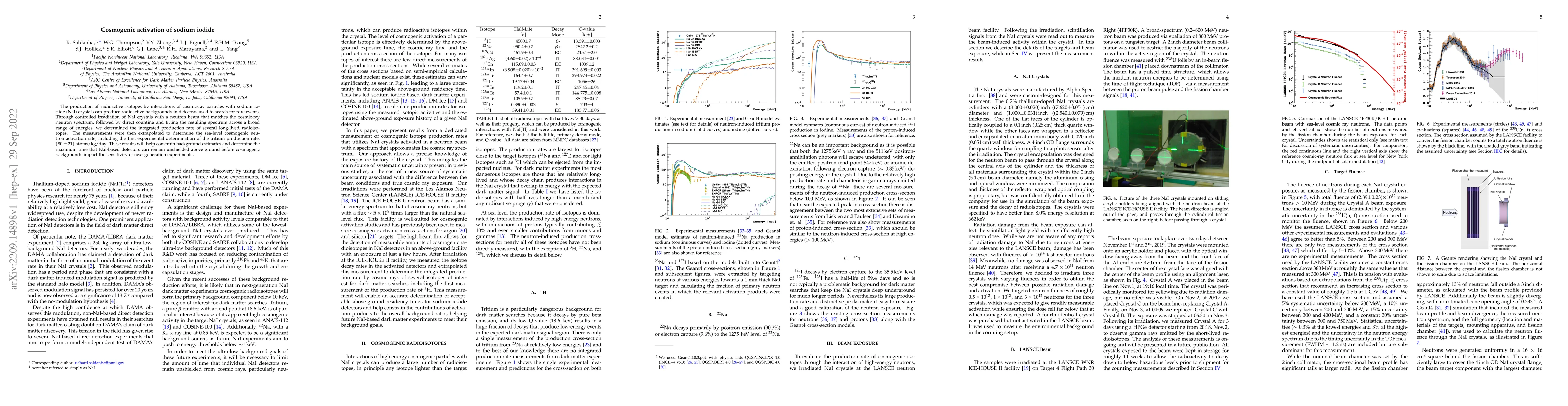 Thumbnail for Cosmogenic activation of sodium iodide