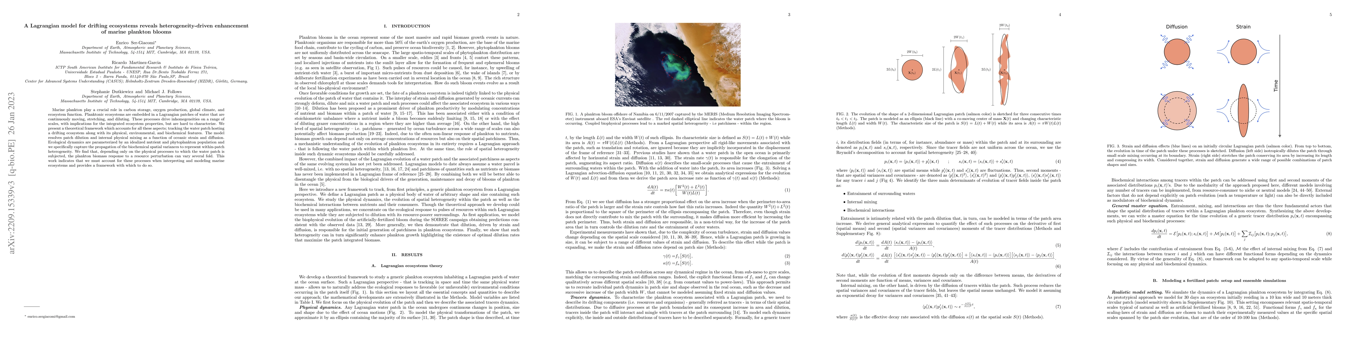 Thumbnail for A Lagrangian model for drifting ecosystems reveals heterogeneity-driven
  enhancement of marine plankton blooms