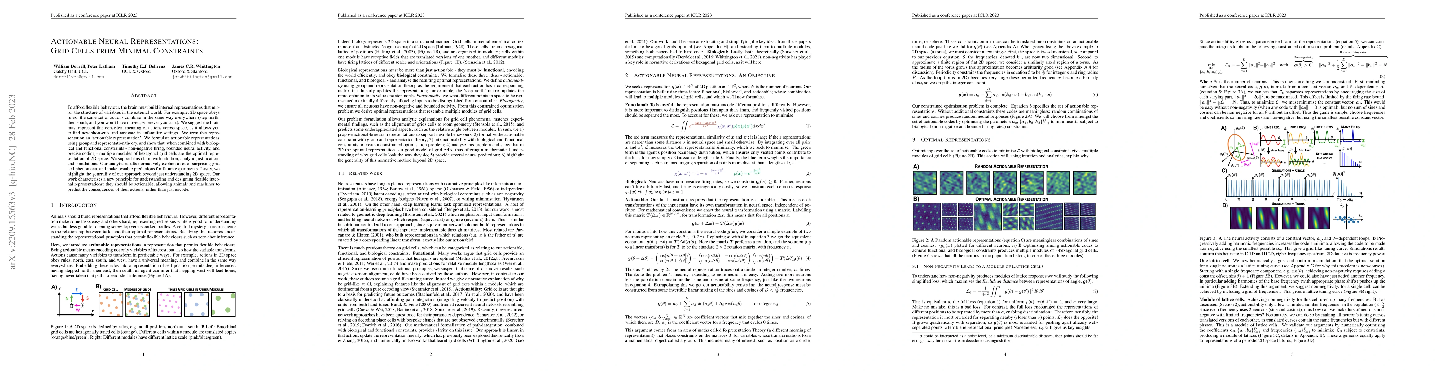 Thumbnail for Actionable Neural Representations: Grid Cells from Minimal Constraints