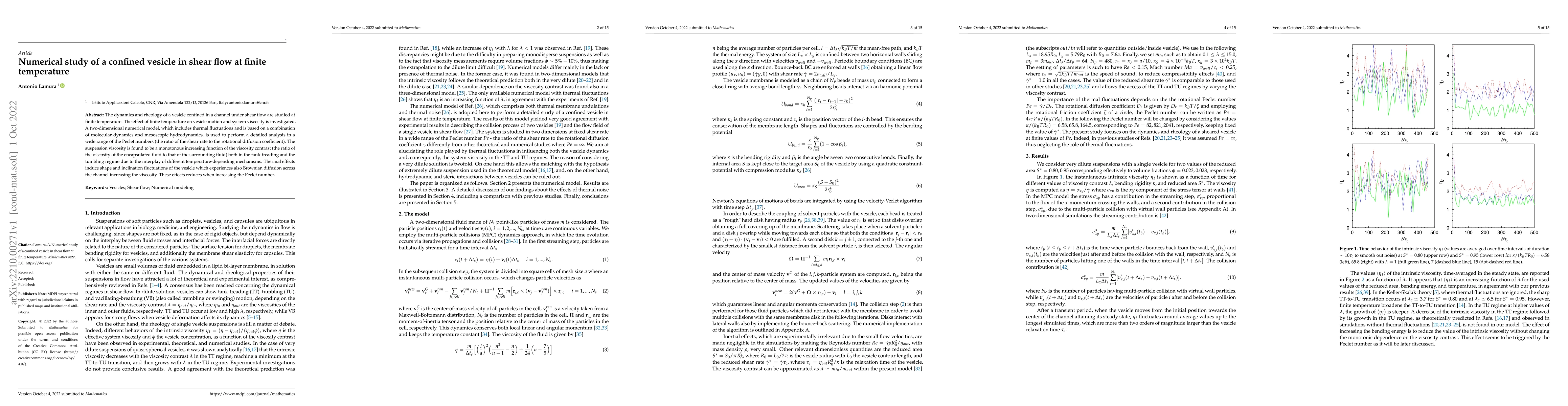 Thumbnail for Numerical study of a confined vesicle in shear flow at finite
  temperature