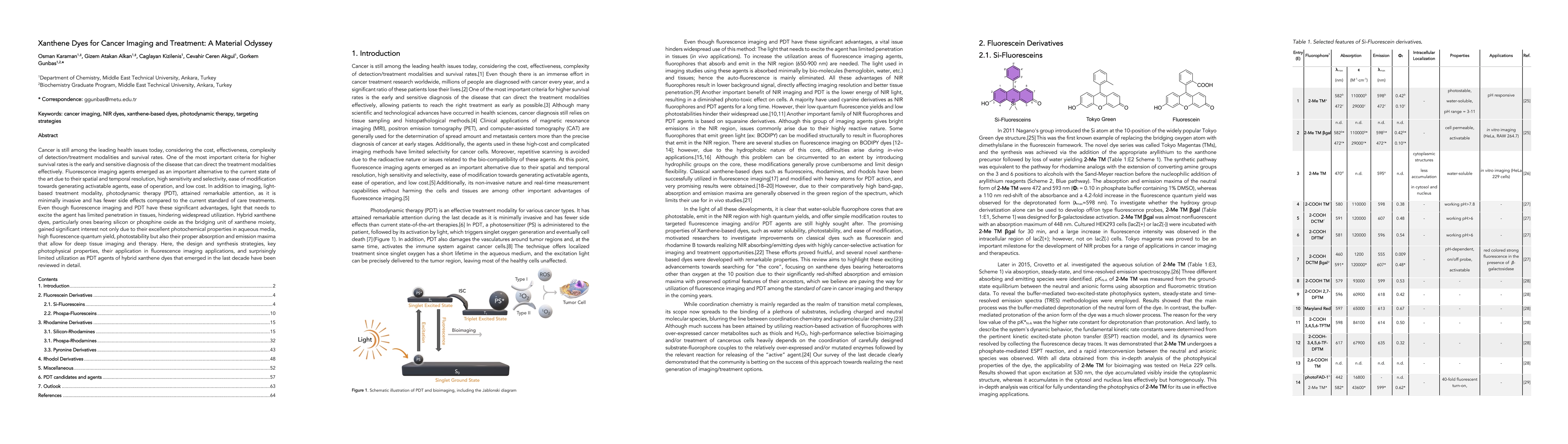 Thumbnail for Xanthene Dyes for Cancer Imaging and Treatment: A Material Odyssey