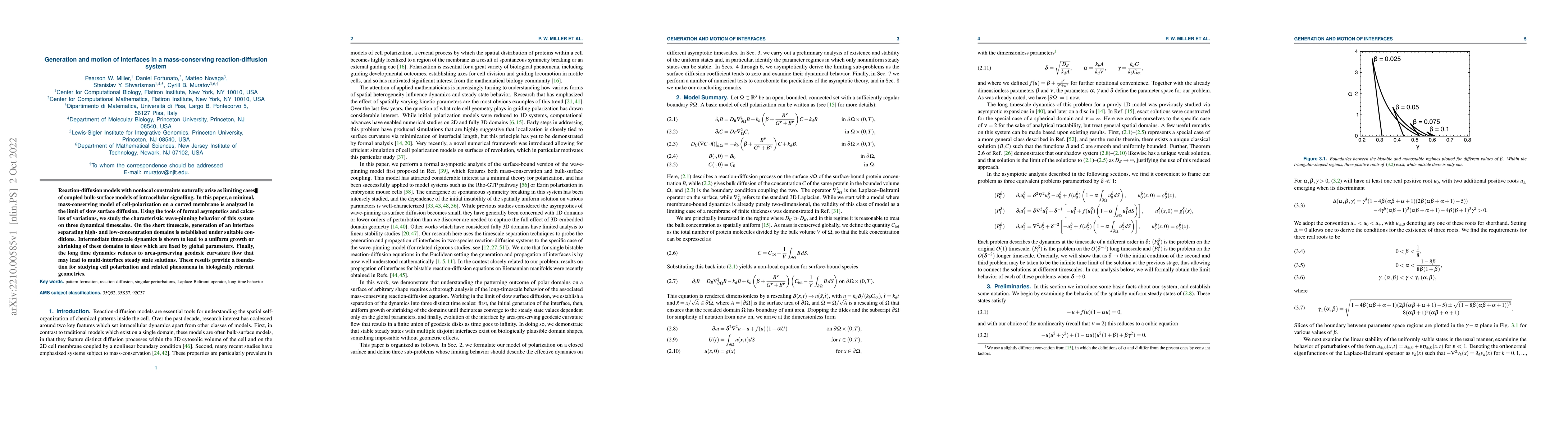 Thumbnail for Generation and motion of interfaces in a mass-conserving
  reaction-diffusion system