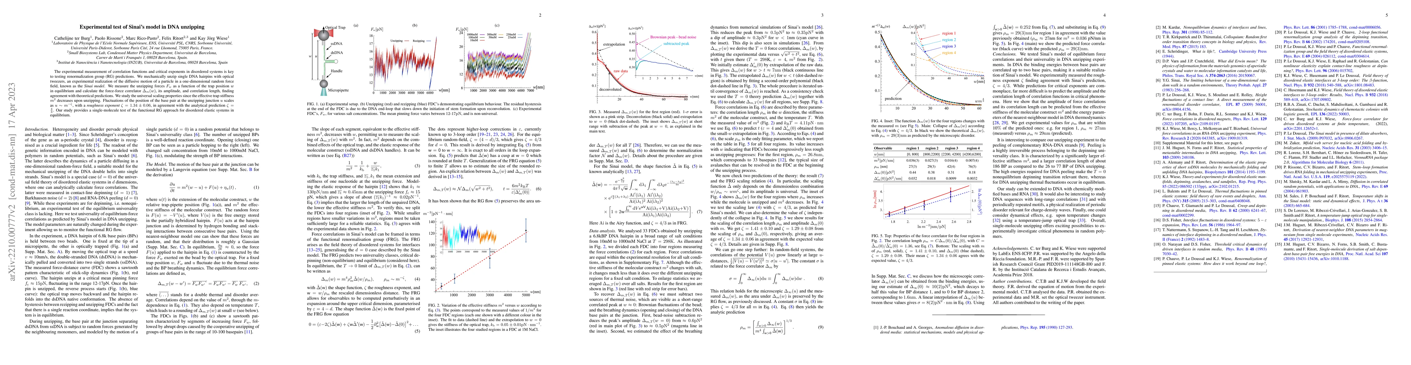 Thumbnail for Experimental test of Sinai's model in DNA unzipping
