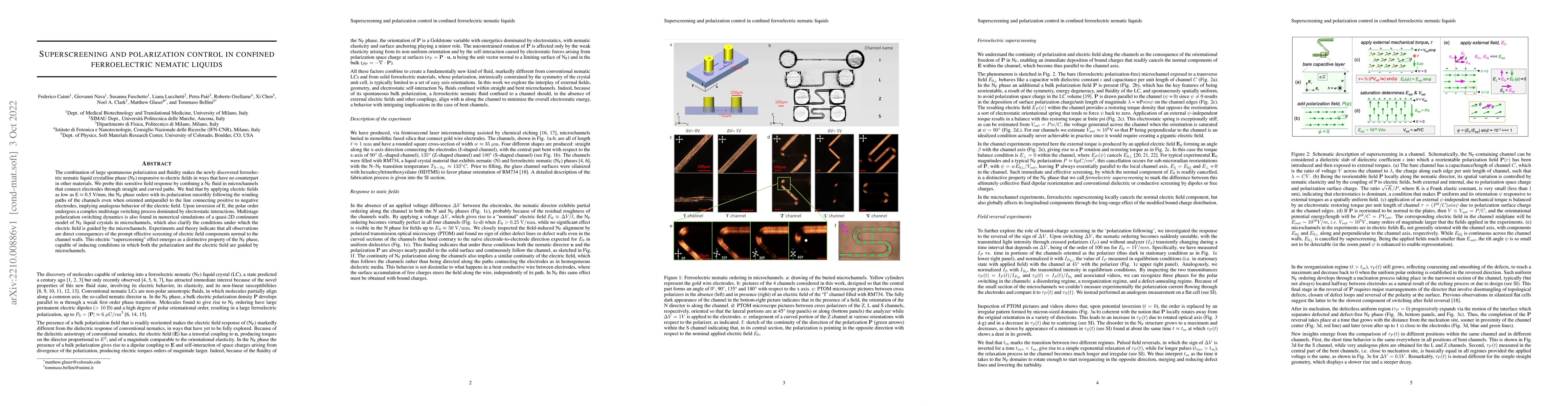 Thumbnail for Superscreening and polarization control in confined ferroelectric
  nematic liquids