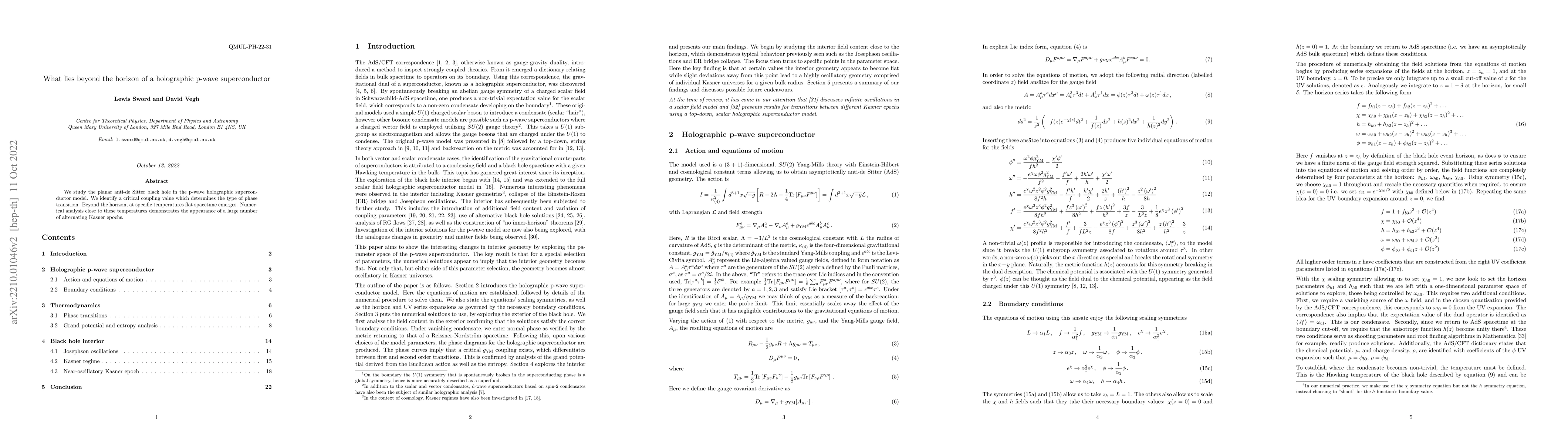 Thumbnail for What lies beyond the horizon of a holographic p-wave superconductor