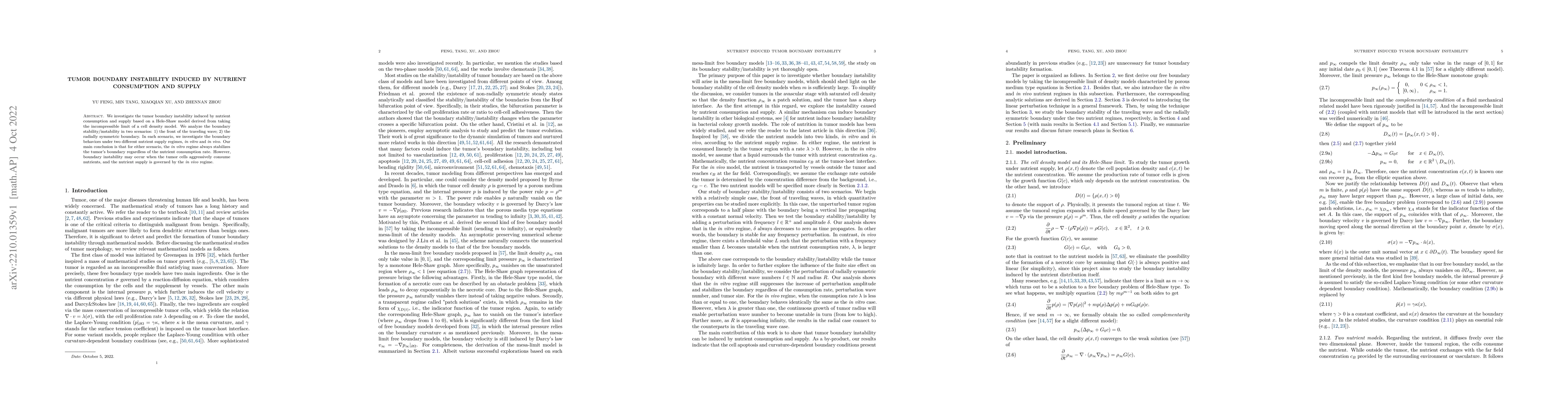 Thumbnail for Tumor boundary instability induced by nutrient consumption and supply