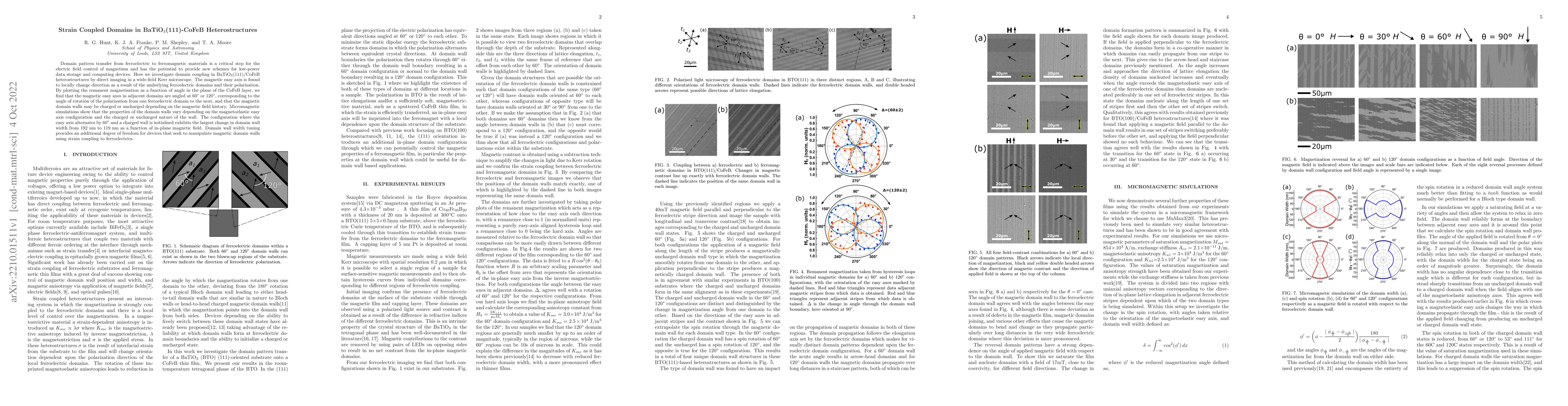 Thumbnail for Strain Coupled Domains in BaTiO3(111)-CoFeB Heterostructures
