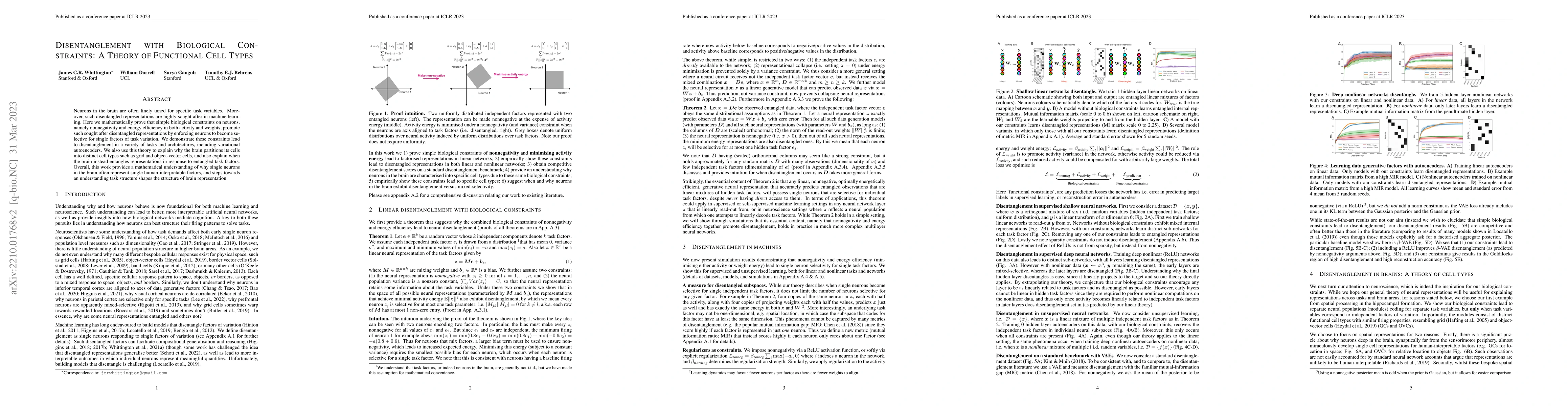 Thumbnail for Disentanglement with Biological Constraints: A Theory of Functional Cell
  Types