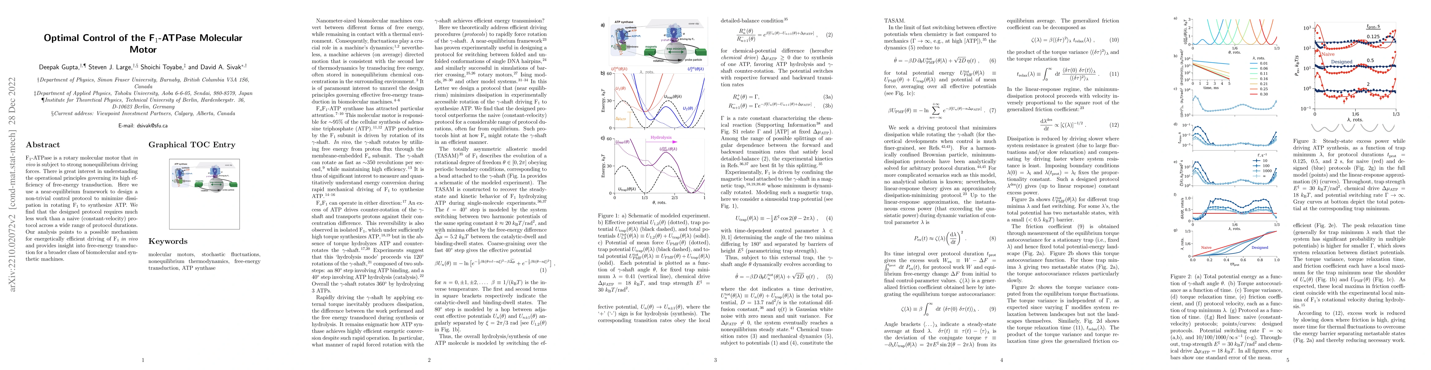 Thumbnail for Optimal Control of the F${_1}$-ATPase Molecular Motor