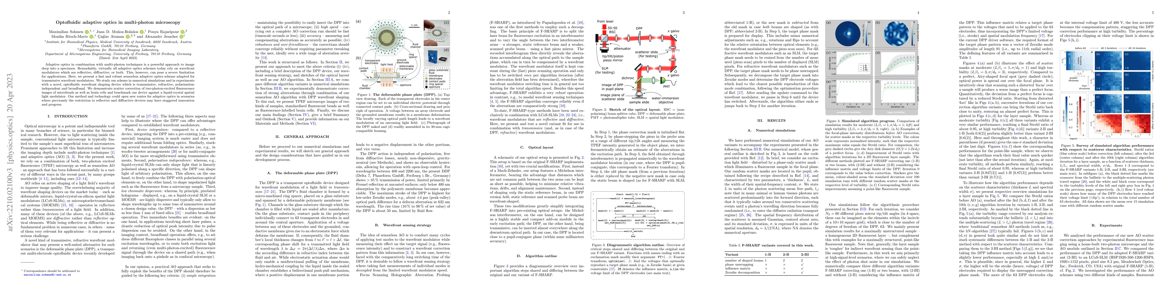 Thumbnail for Optofluidic adaptive optics in multi-photon microscopy